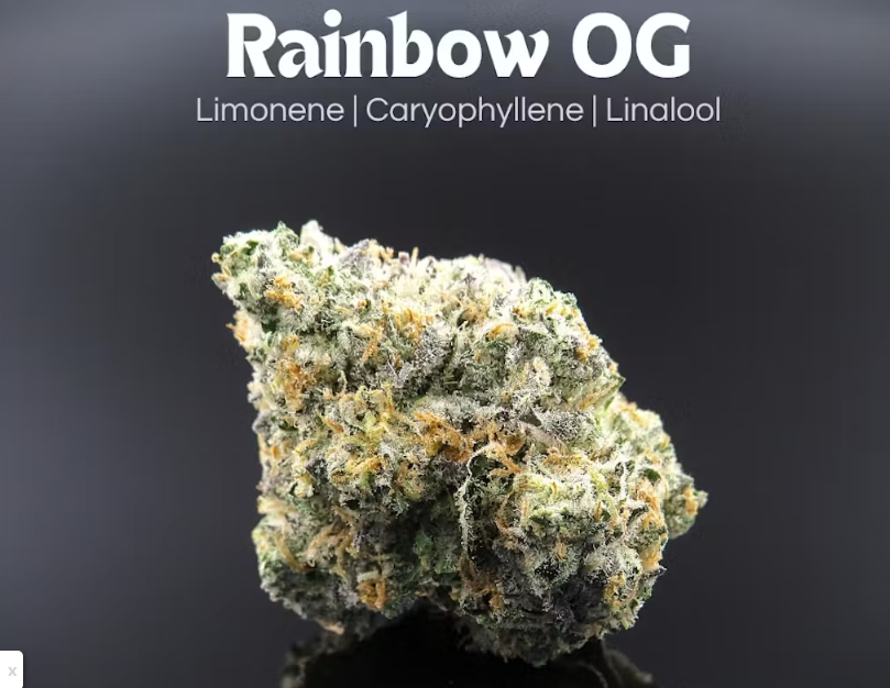 Photograph of product: Rainbow OG | 2.83g