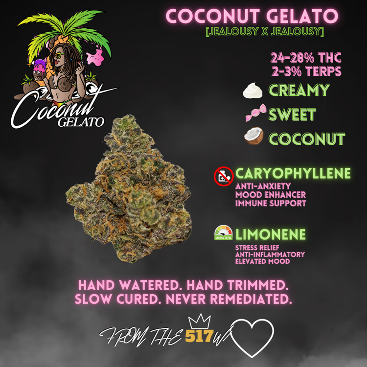 Photograph of product: Premier Meds | 517 Coconut Gelato Full Flower Pre-roll