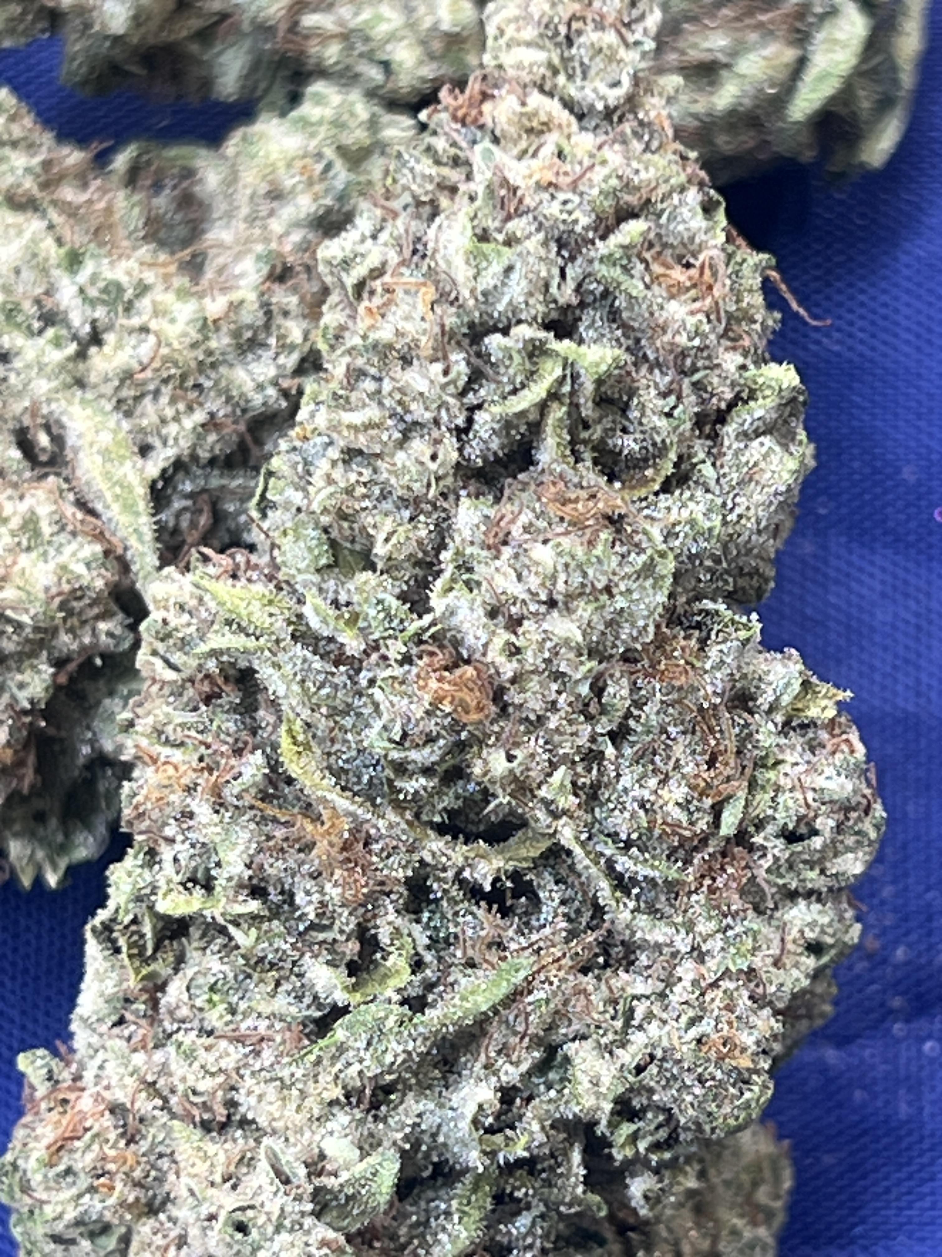 Photograph of product: Tropicana Cookies Buds - 28g