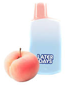 Photograph of product: Georgia Peach Disposable Vape 2g