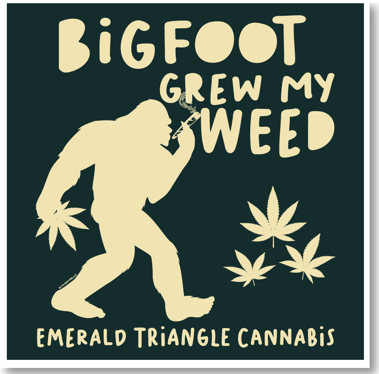 Photograph of product: GREEN BIGFOOT GREW MY Oui'd T SHIRT $22