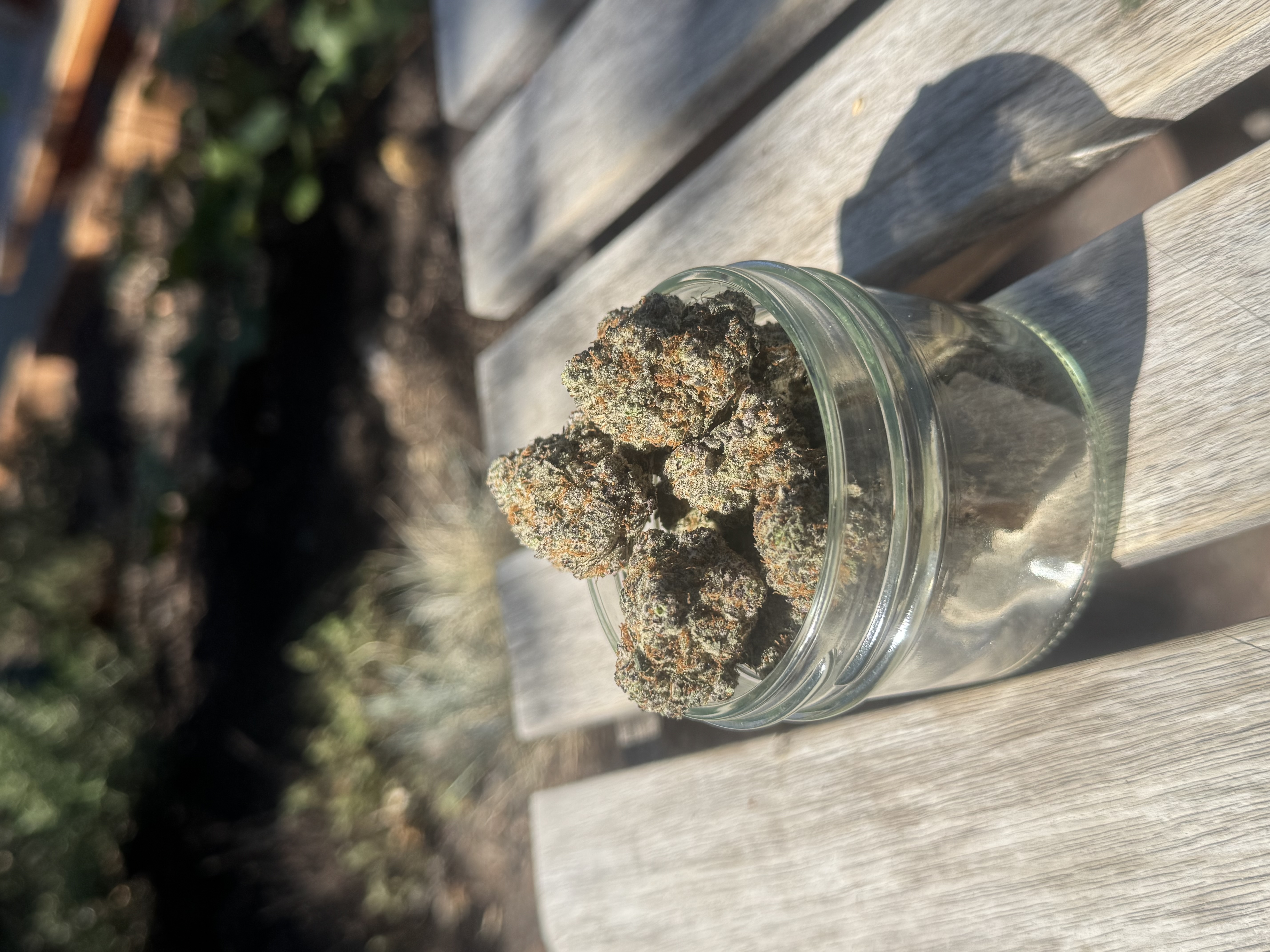 Photograph of product: Orion's Garden Gary Payton - 28g