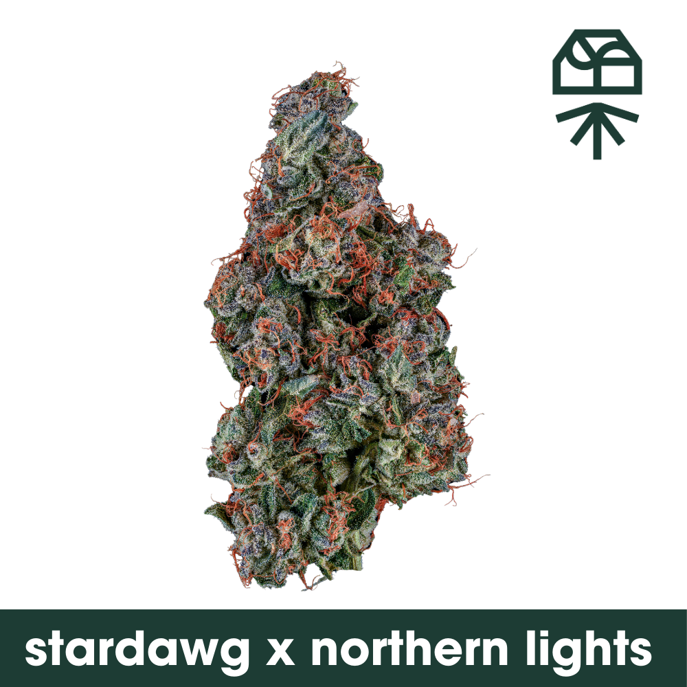 Photograph of product: Stardawg X Northern Lights - 28g
