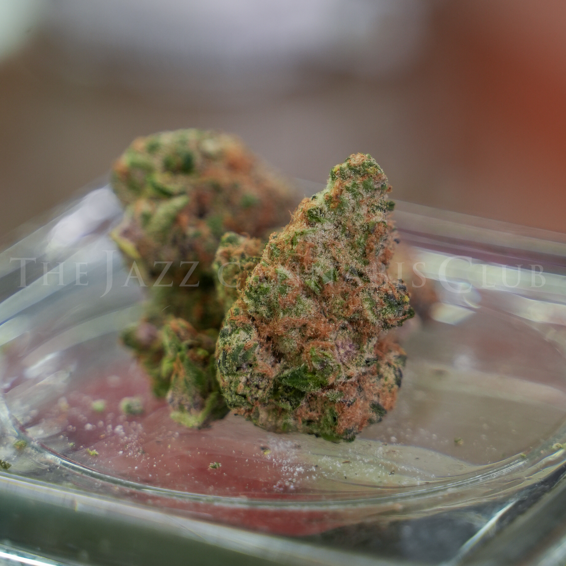 Photograph of product: The 8th White Boy Rick - BlockBerry Punch Pre Pack Flower - 3.5g