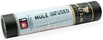 Photograph of product: Mule Extracts Blue Dream x Pineapple Thai Infused Pre-Roll 1g