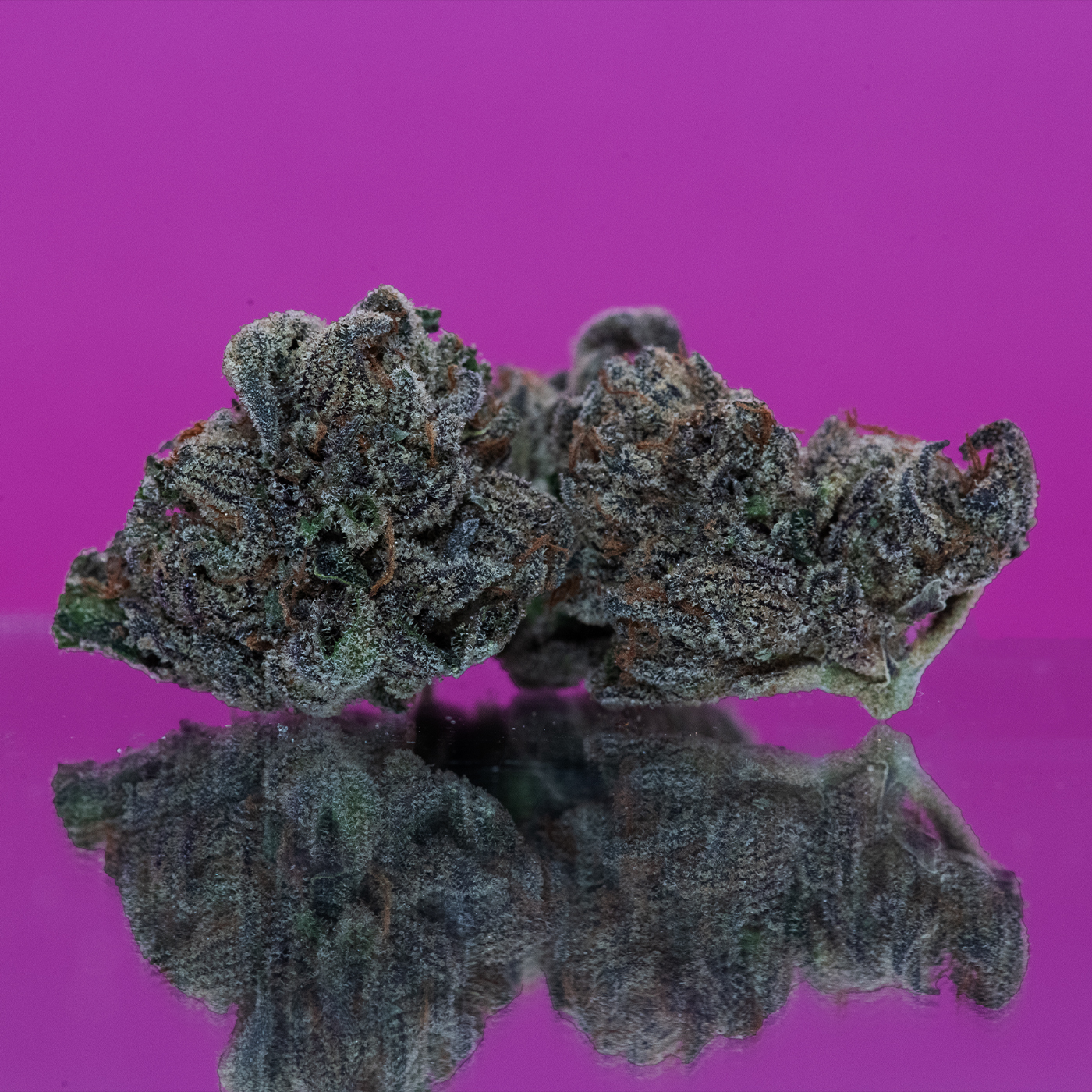 Photograph of product: Flower: Violet Sky - 3.5g