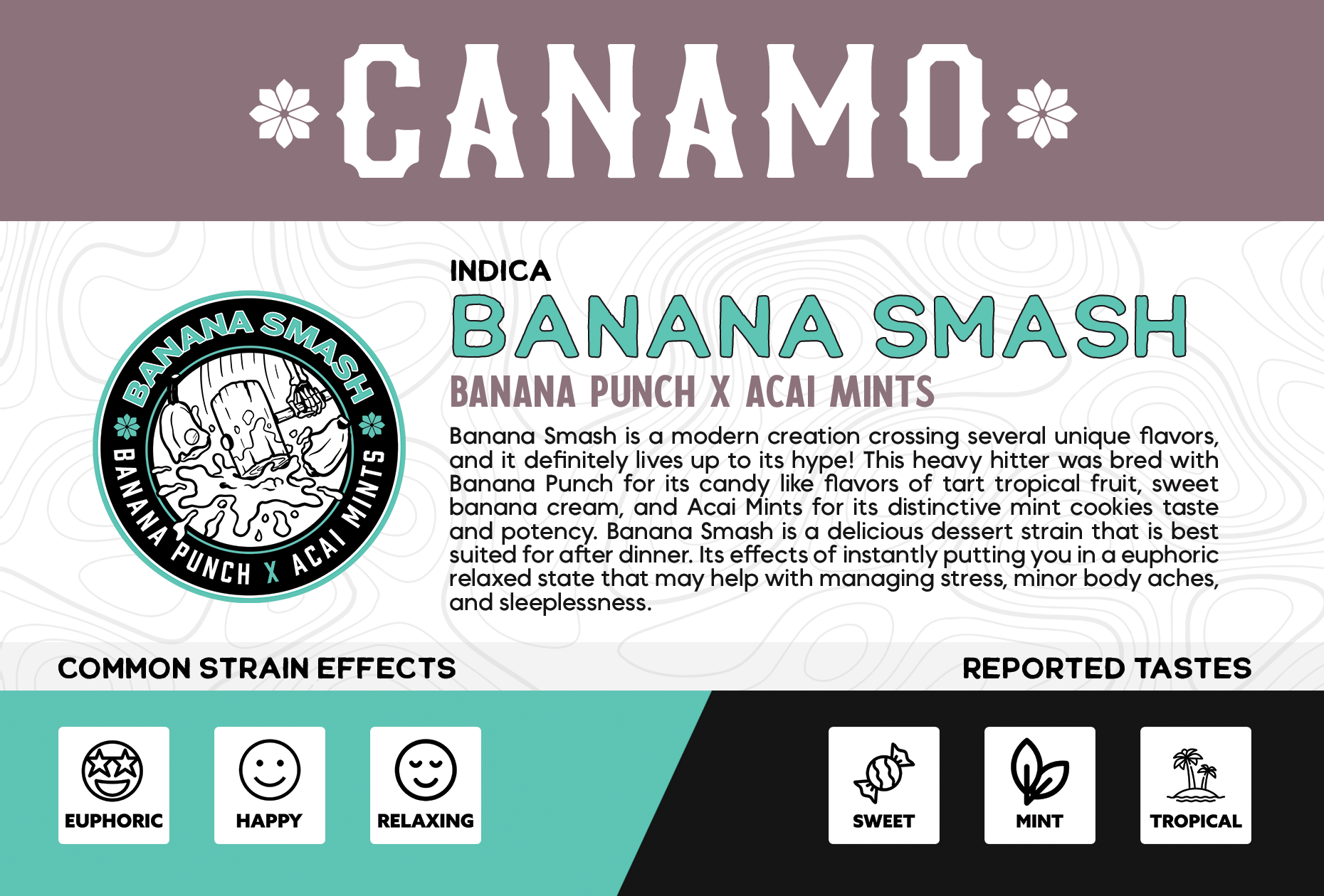 Photograph of product: Banana Smash | 2.25.25 | FPR | 2 pk I I