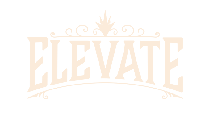 Photograph of product: Elevate: Vape | Berry Gelato | Mini-E-Bar | All-In-One | 0.5g