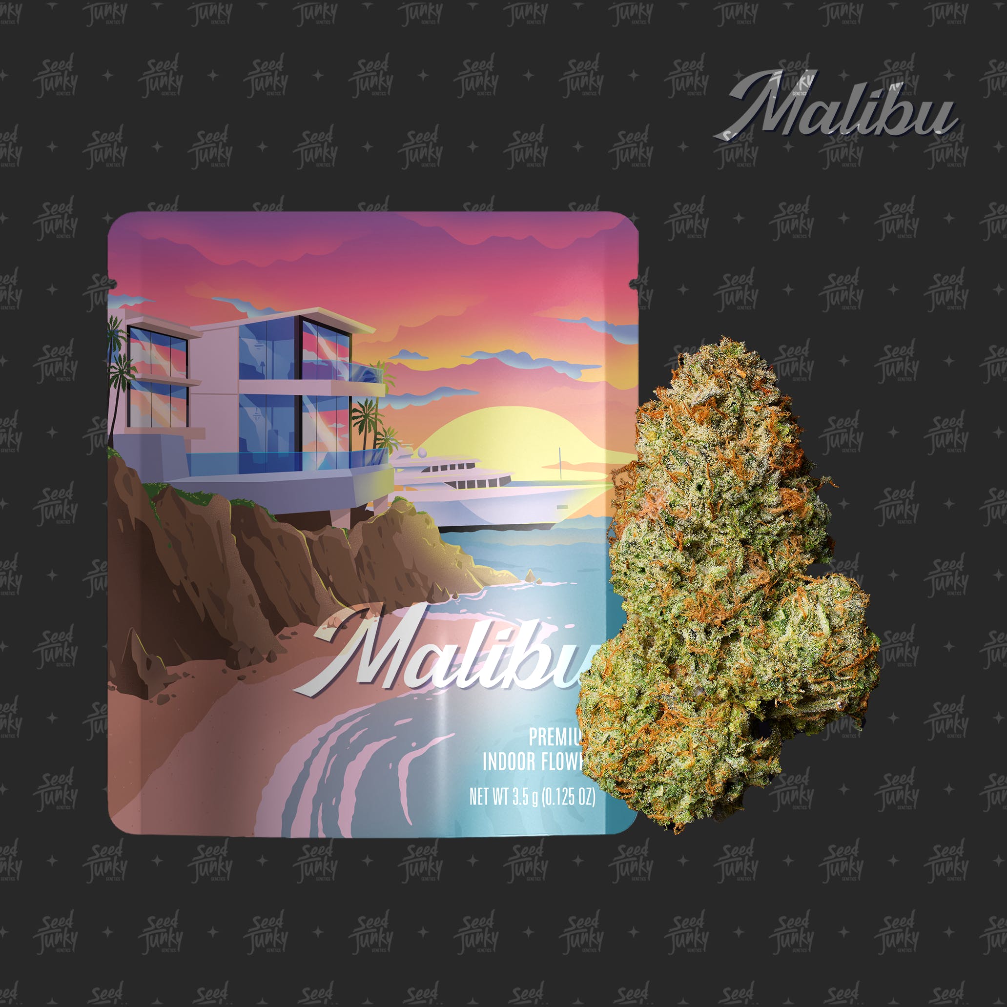 Photograph of product: AU Seed Junky: Malibu (H) Prepackaged 3.5g