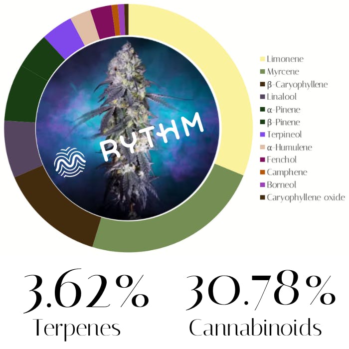 Photograph of product: Frozen Margarita by Rythm | Flower | 3.5g