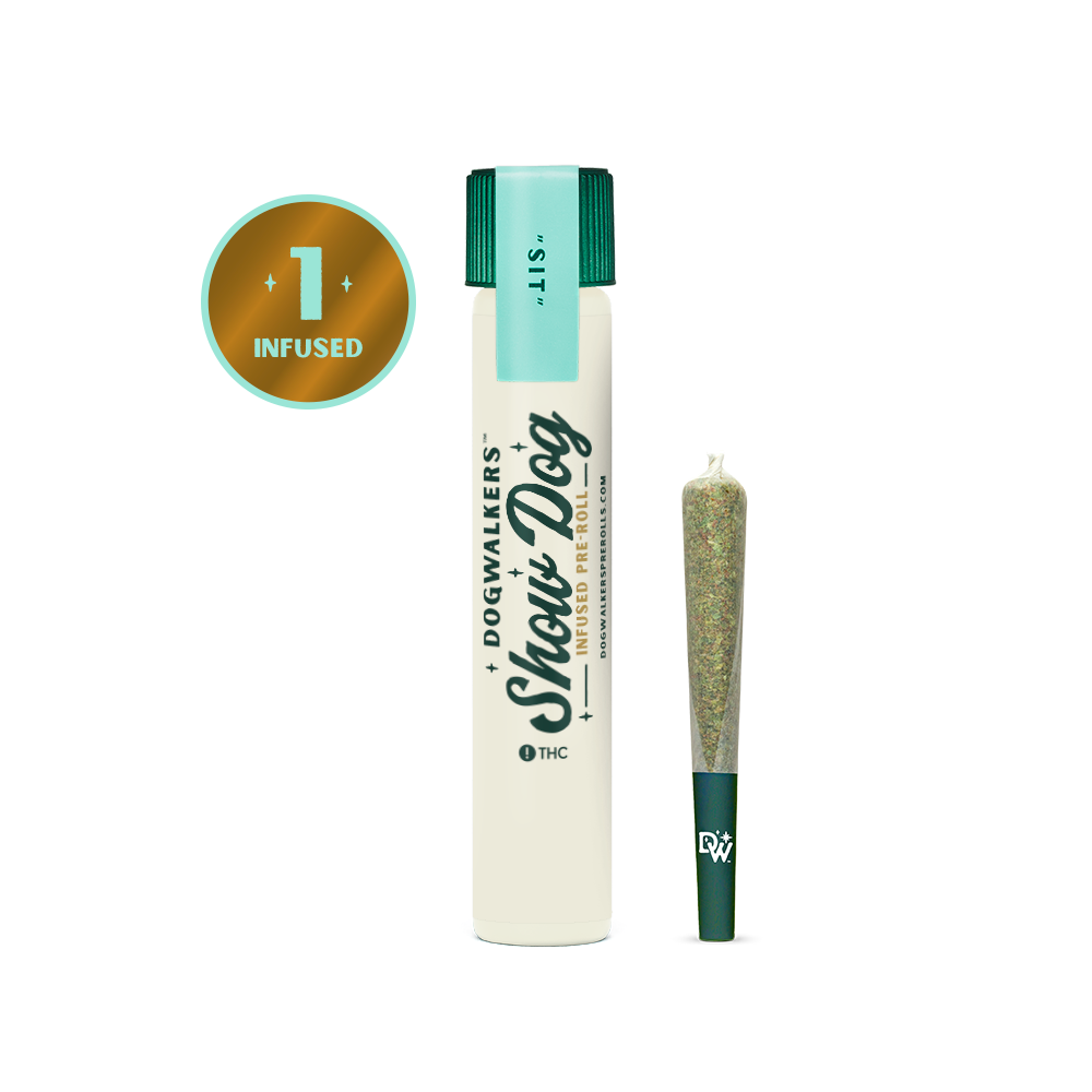 Photograph of Product: Brownie Scout Big Show Dog | 1g