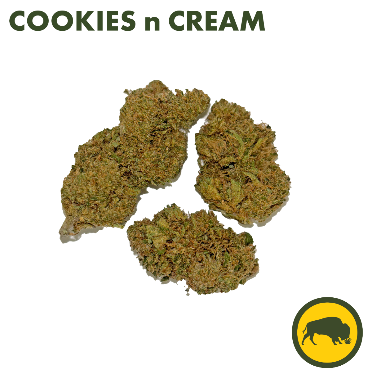 Photograph of product: Cookies n Cream Flower | Oui'd Dominate | Bison Botanics - 3.5g