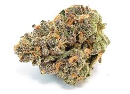 Photograph of product: Jet Fuel Fresh Packed - 28g
