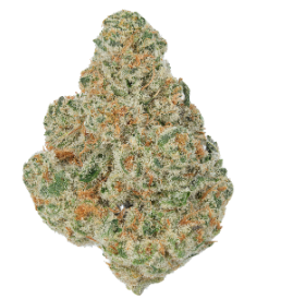 Photograph of product: Gram Crack | Terp Diamond Infused | Shampine