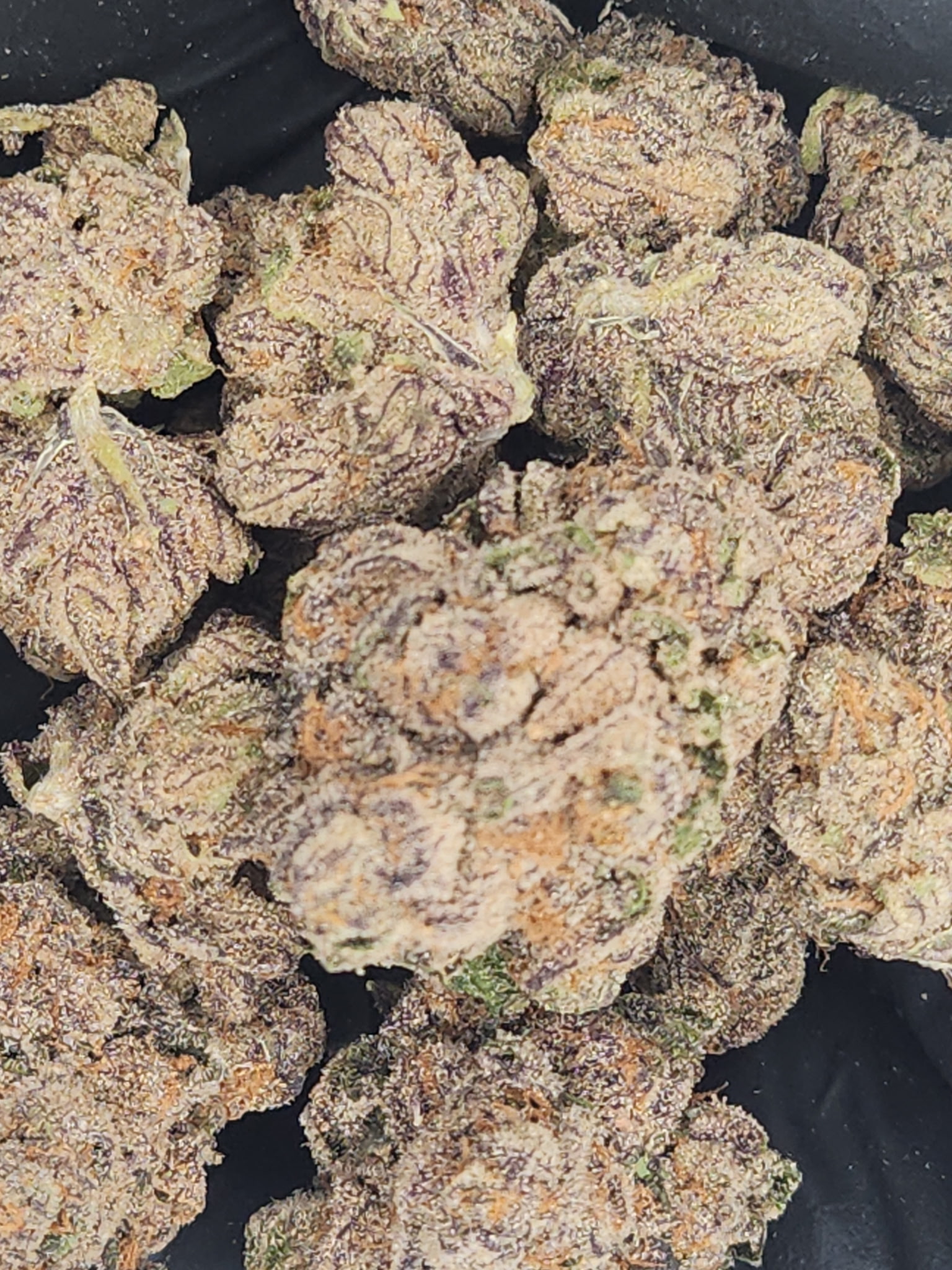 Photograph of product: Doghouse | Bulk Bud - California - 28g