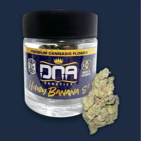 Photograph of product: DNA Genetics | Honey Banana s1 #1 1/8oz - Hybrid