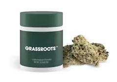 Photograph of product: Orange Z | Flower | 1g