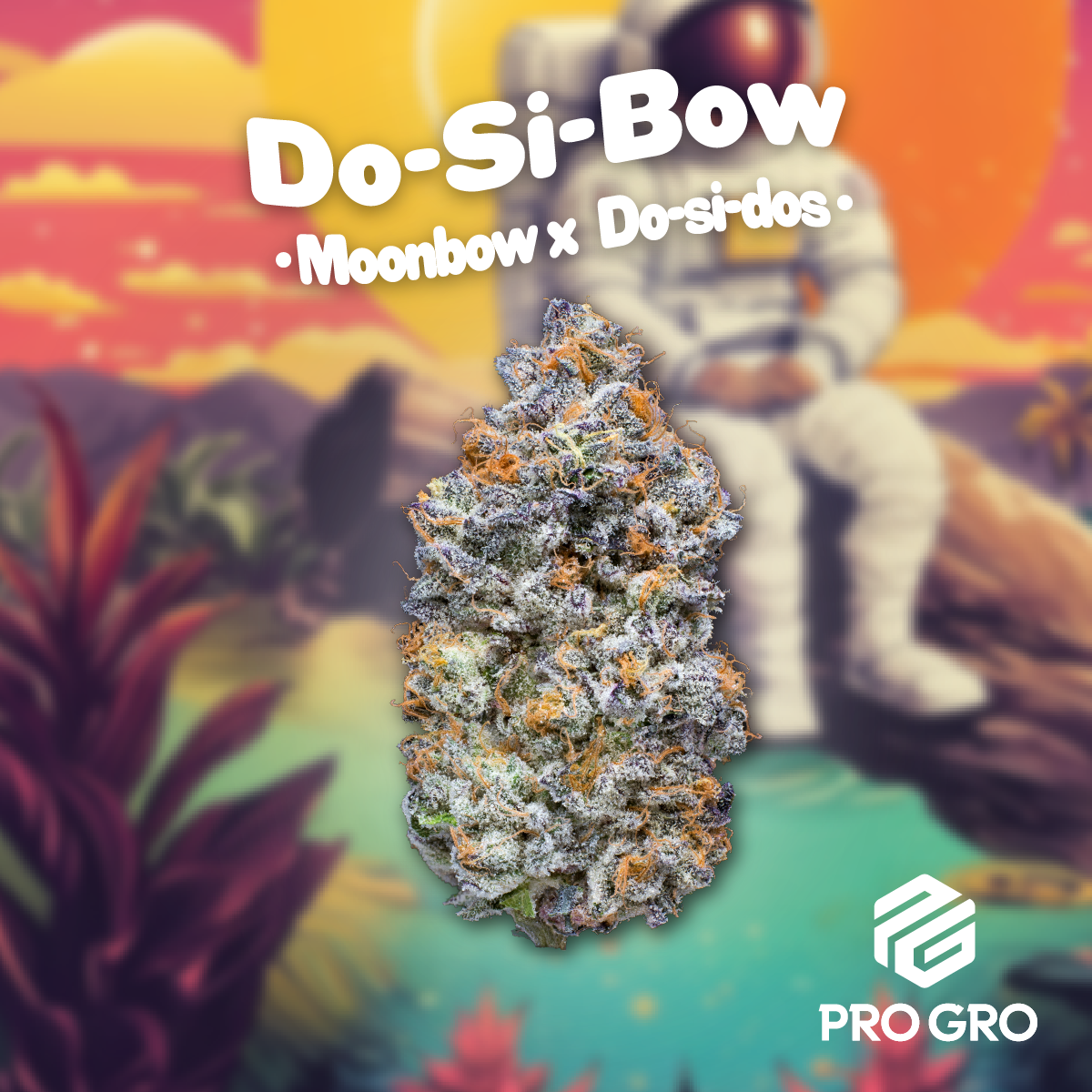 Photograph of product: Dosi-Bow - 3.5g