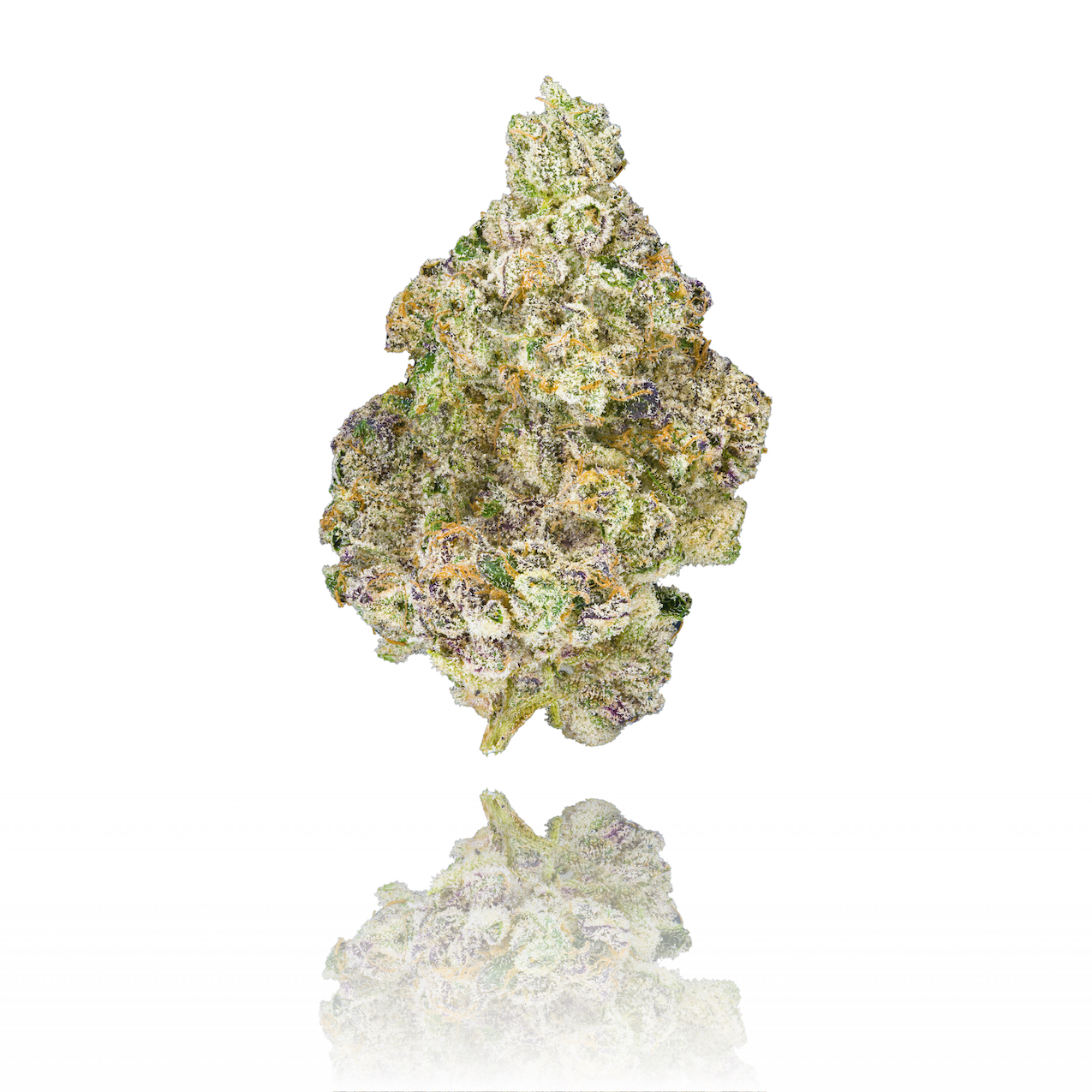 Photograph of product: Paradiso (H)