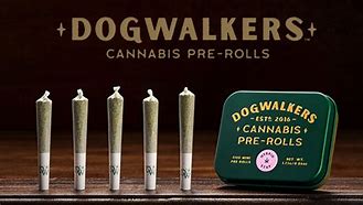 Photograph of Product: Oregon Trophy Pre-Rolls 0.35g x 5pk