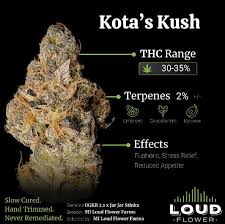 Photograph of product: Loud Flower Kota's Kush - 3.5g