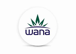 Photograph of product: Blueberry Oui'd | 100mg Gummy's