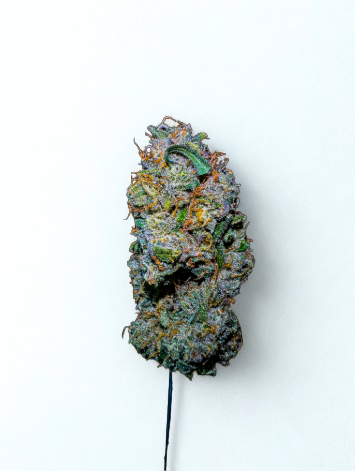 Photograph of product: Candy Fumez - 28g