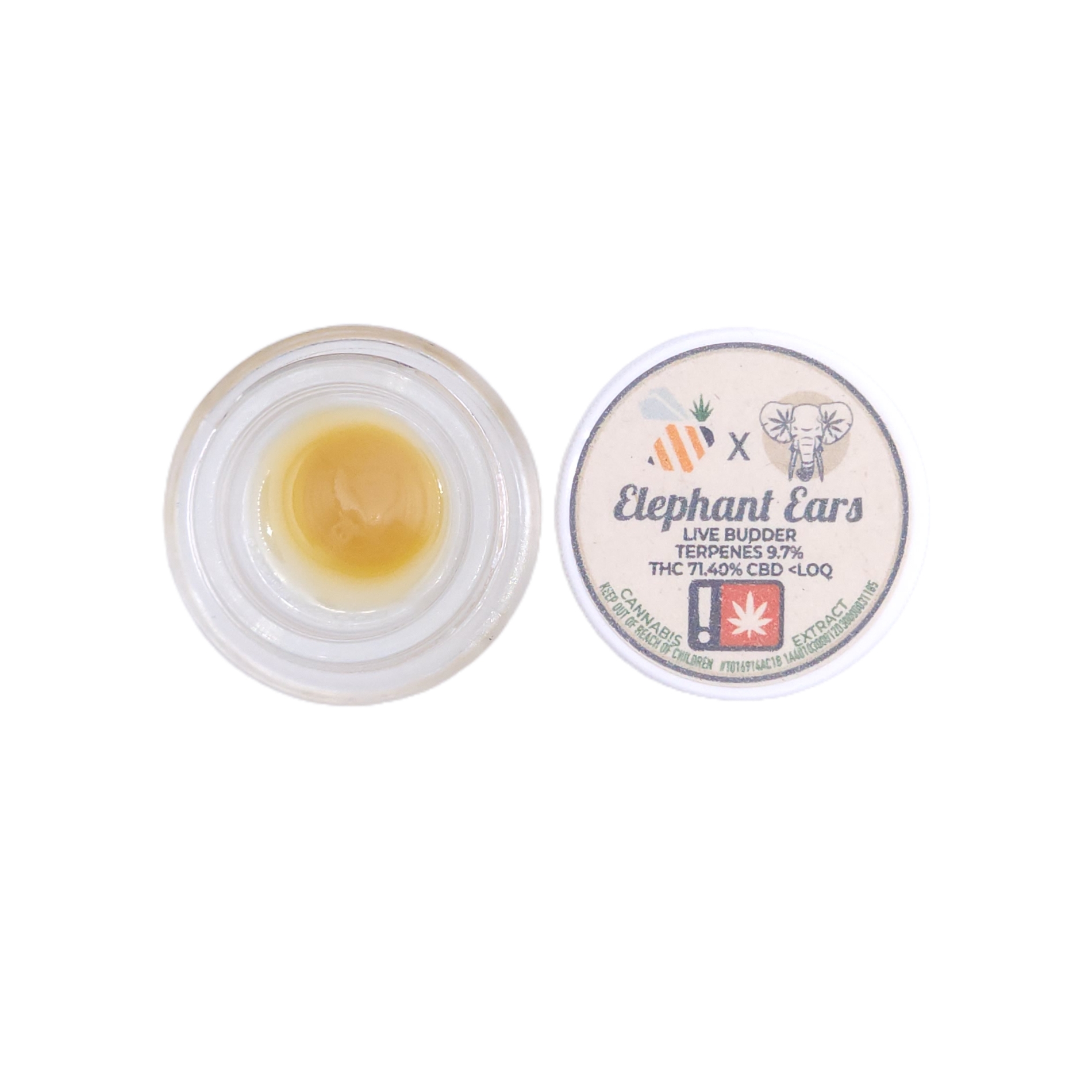 Photograph of product: Echo Electuary | 1g Nectar [I] | Elephant Ears