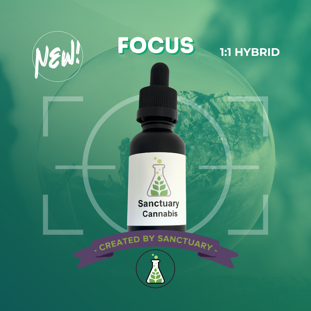 Photograph of product: 1:1 Tincture | Focus | 15 mL