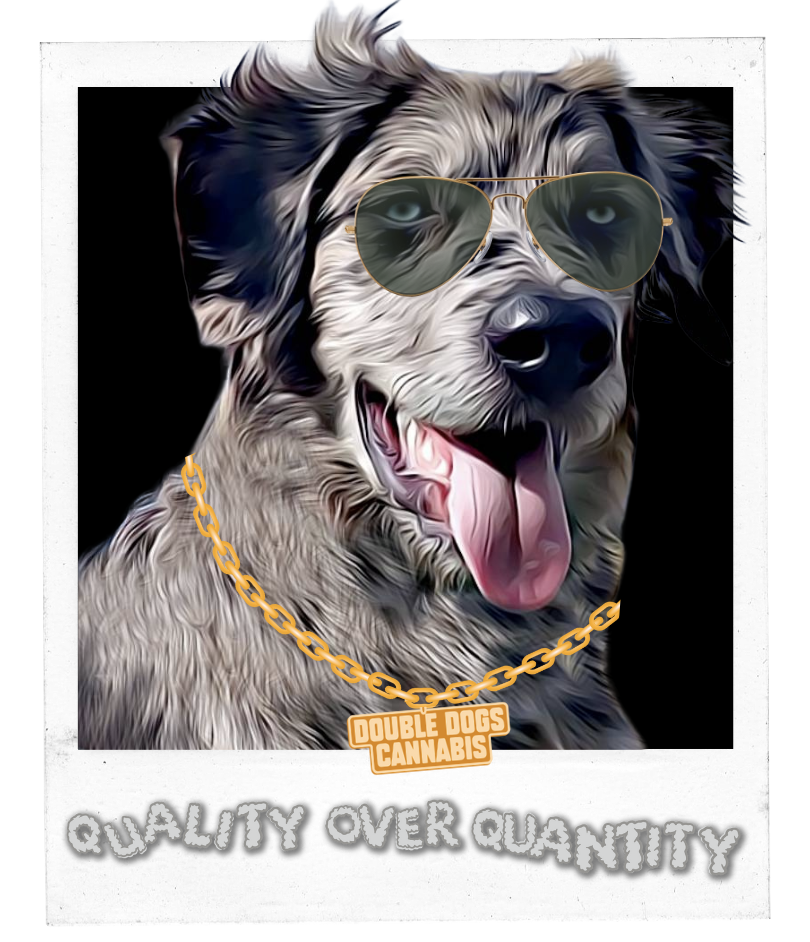 Photograph of product: Gangster Baxter Sticker