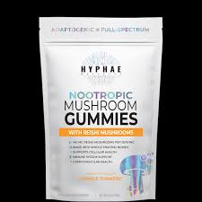 Photograph of product: Hyphae Wellness - Orange Turmeric Reishi  Gummies 10ct