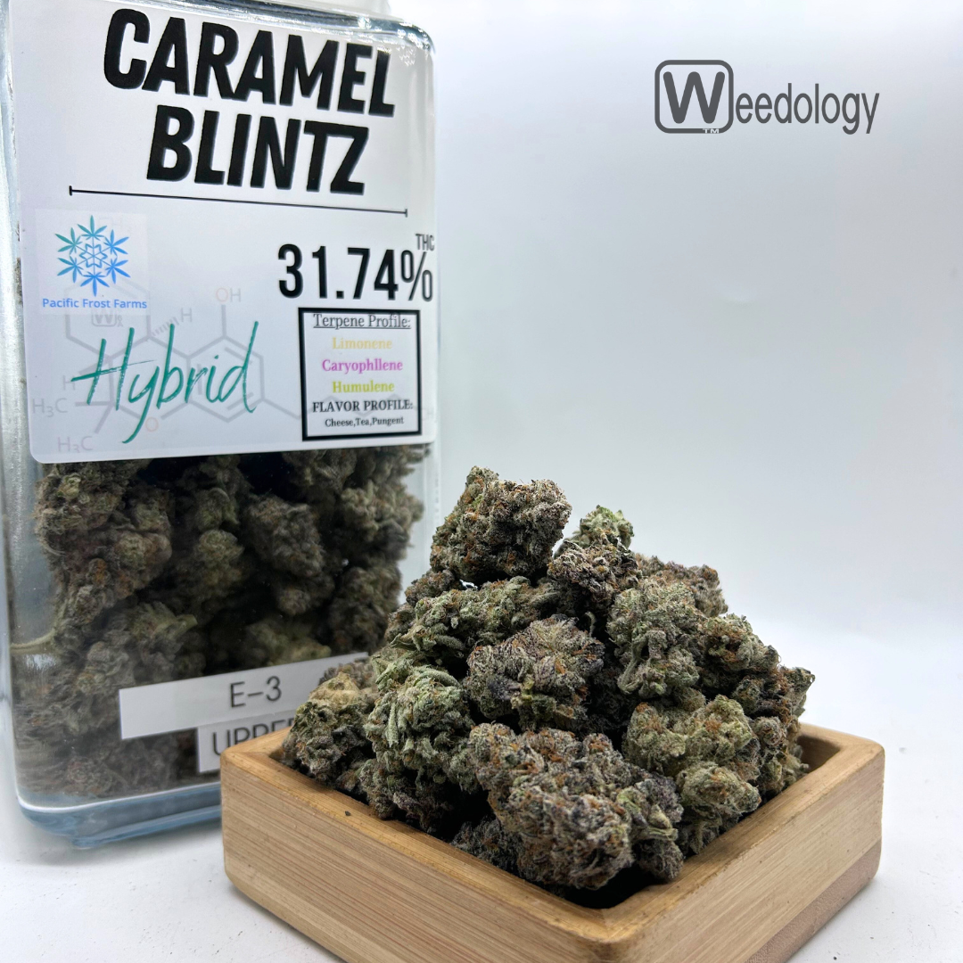 Photograph of product: Caramel Blintz (H) - 28g