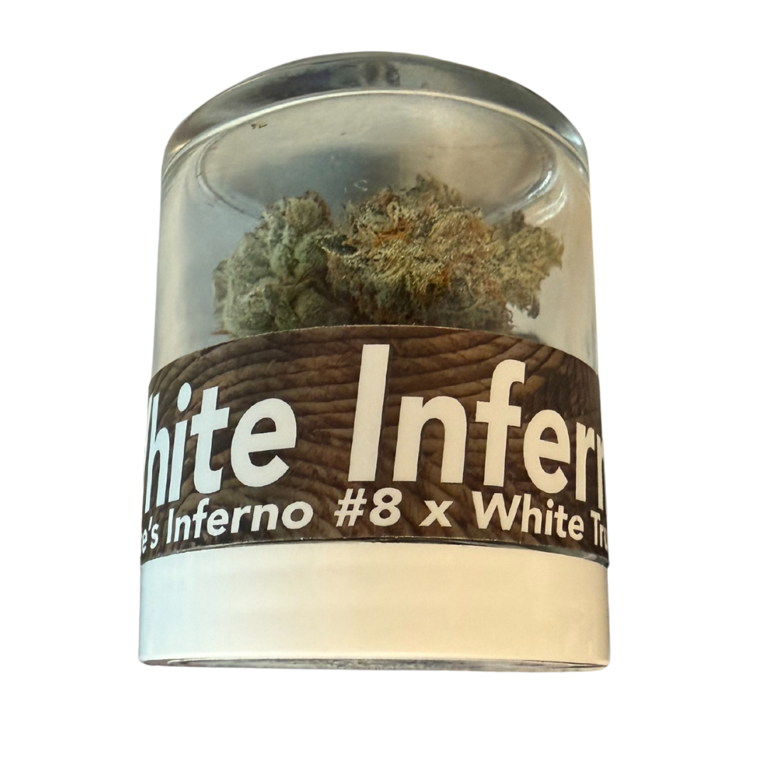 Photograph of product: Fifty Fold White Inferno Flower Oui'd 3.5g