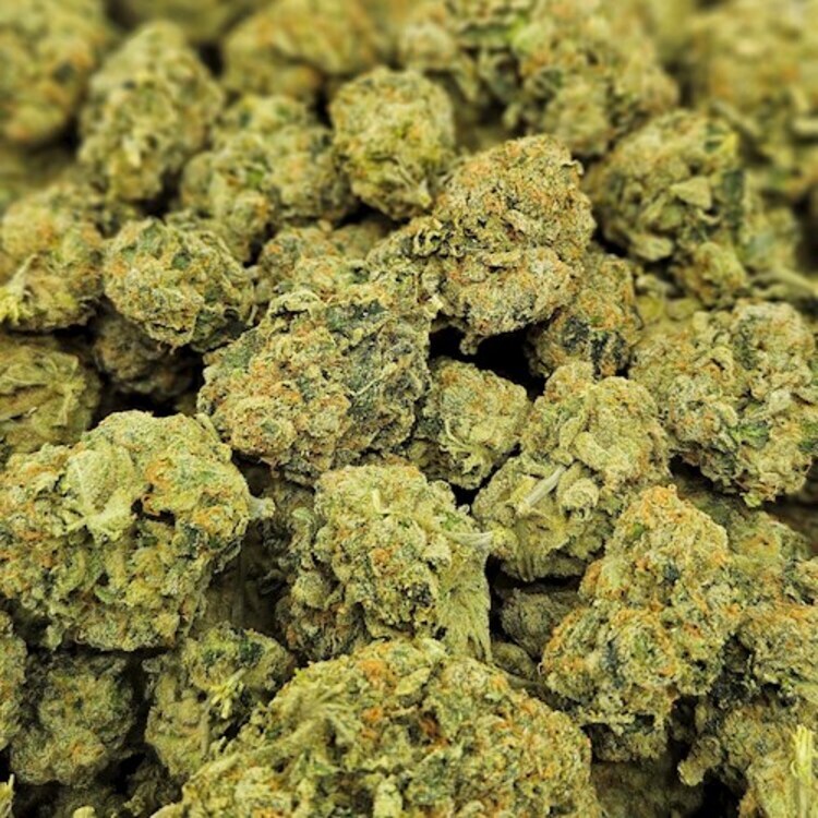 Photograph of product: Blackjack Flower - Dutch Treat 7g