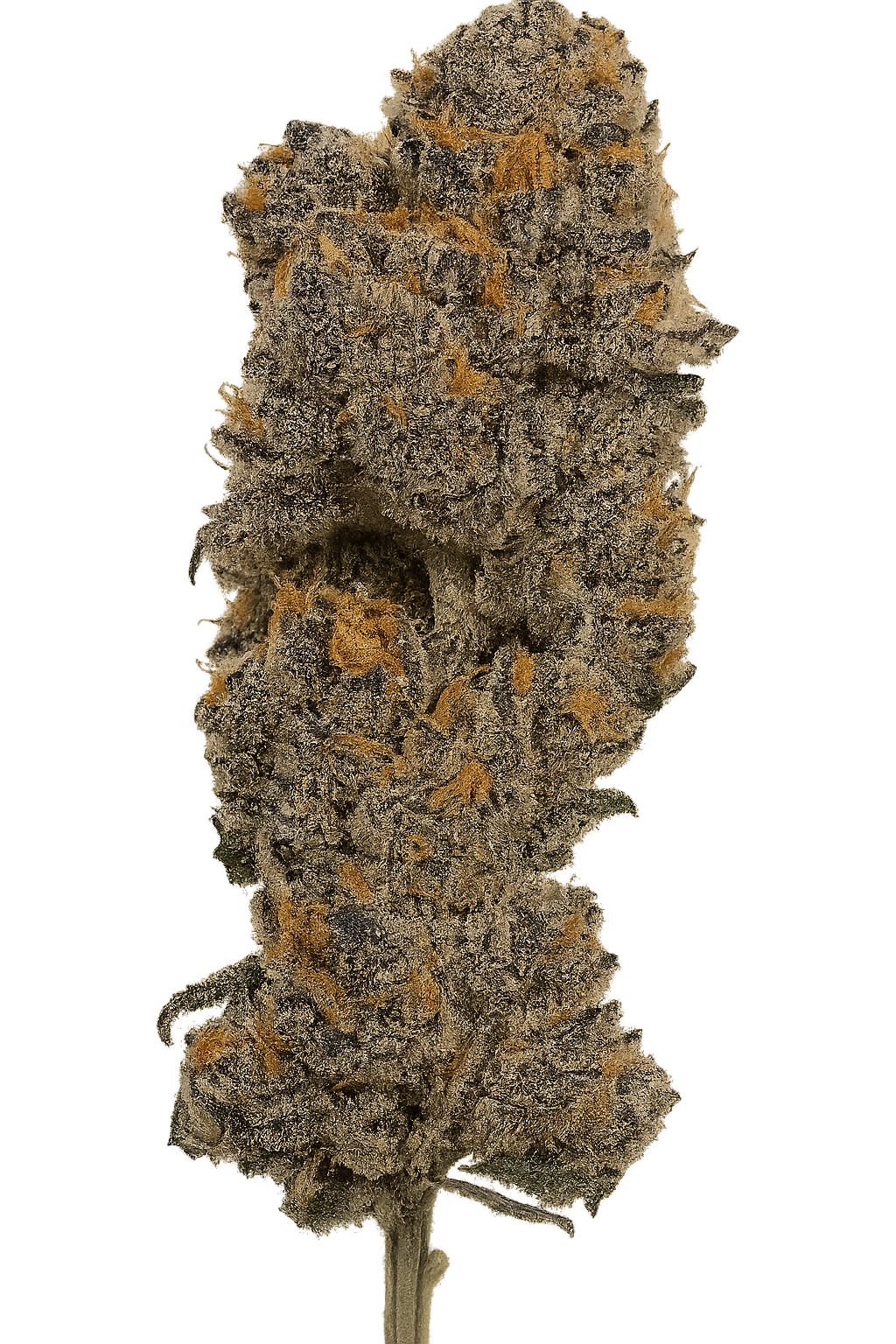Photograph of product: Alt Sol | Hindu Kush | Pre-Packaged Flower | 3.5g