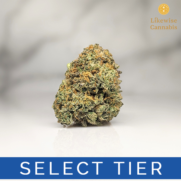 Photograph of product: RAINBOW SHERBET #11 - 28g