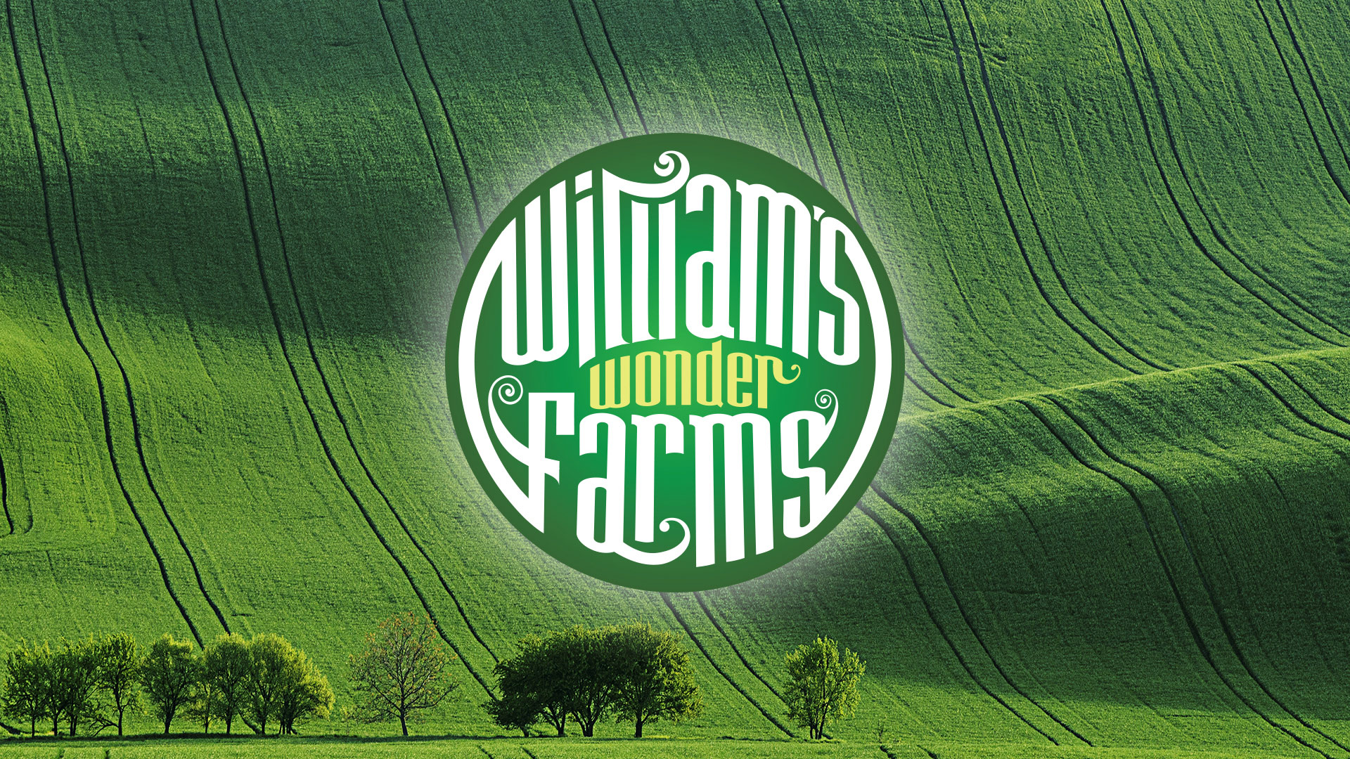 Photograph of product: Haze (Williams Wonder) - 14g