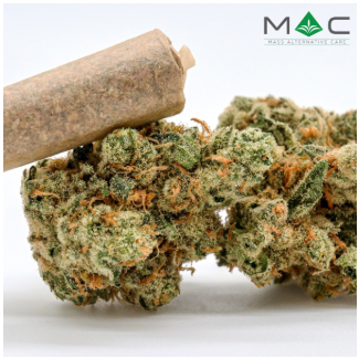 Photograph of product: Pre-Roll - Coughy Cake - 1g