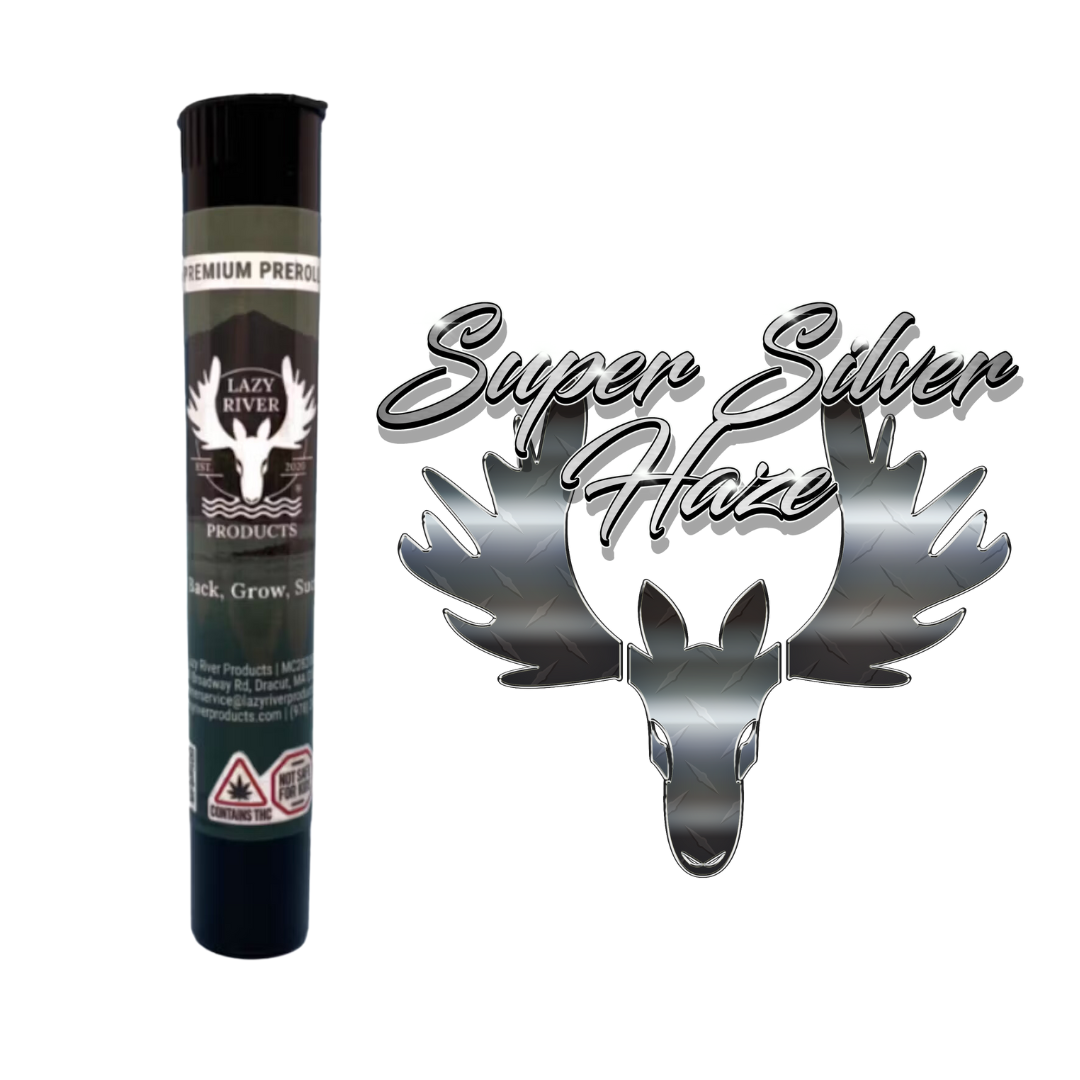 Photograph of product: Super Silver Haze Pre-Roll 2pk (.5g each) (TAX INCLUDED)