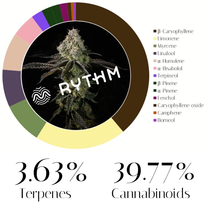 Photograph of product: Afternoon Delight #4 by Rythm | Flower | 3.5g
