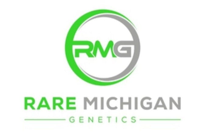 Photograph of product: Roy Jones Jr. Knock OUT 1g Infused Pre-Roll by Rare MI Genetics