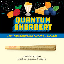 Photograph of product: Quantum Sherbert Pre-Roll | 1g