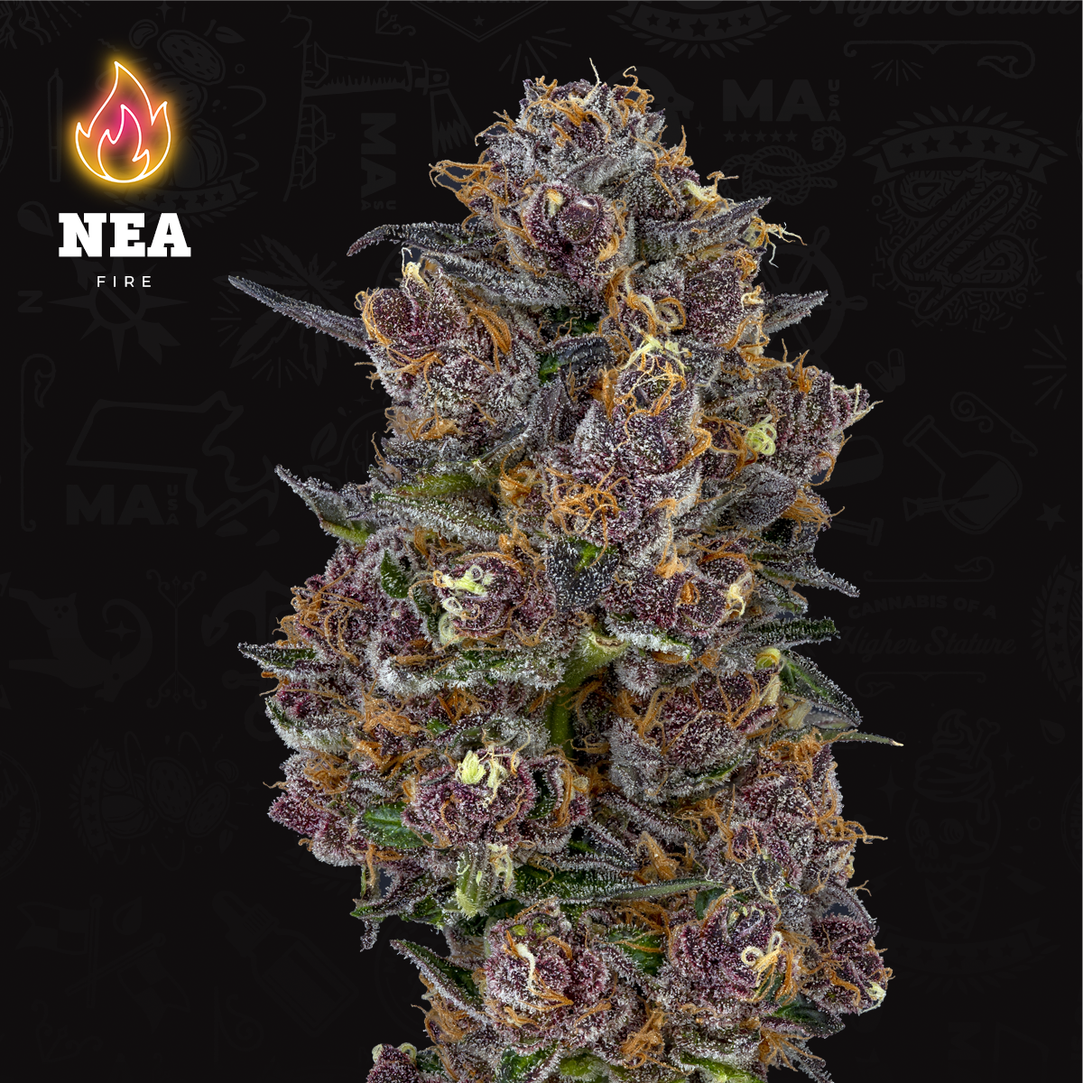 Photograph of product: Tropsanto #5 - 3.5g flower