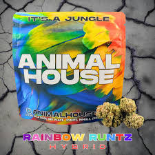Photograph of product: Animal House | Rainbow Runtz | 3.5G Mixed Light Flower