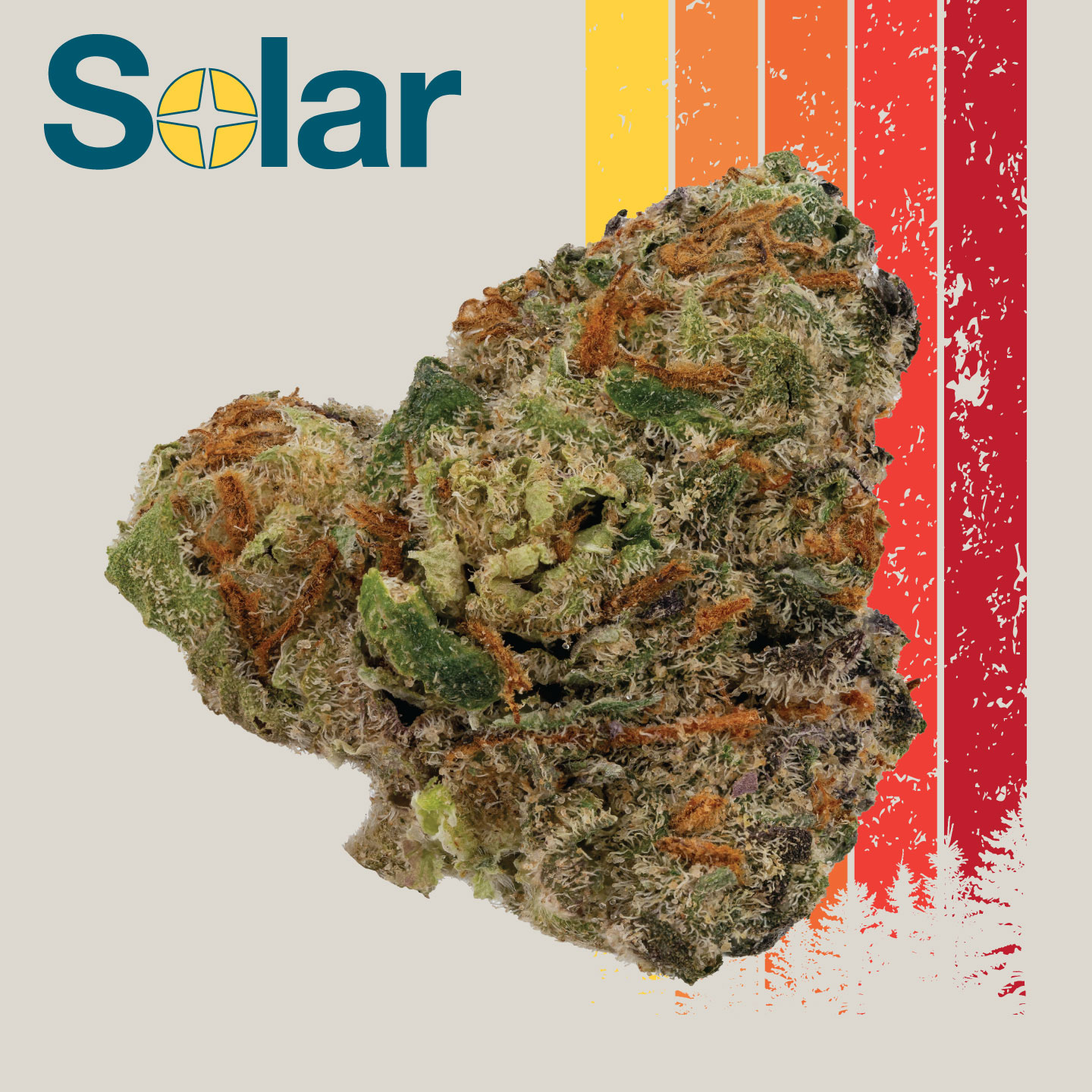 Photograph of product: LA Pop Rocks x Mimosa | Solar - 3.5g