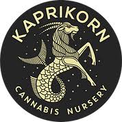 Photograph of product: Kaprikorn | Goofiez Live Resin AiO