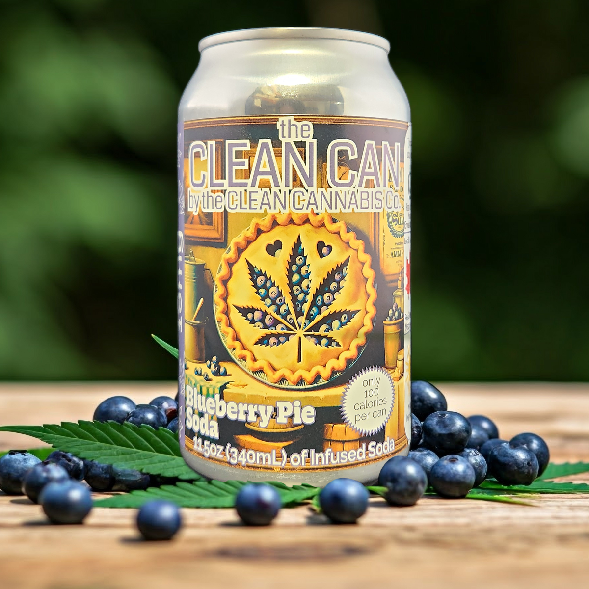 Photograph of Product: Blueberry Pie Soda