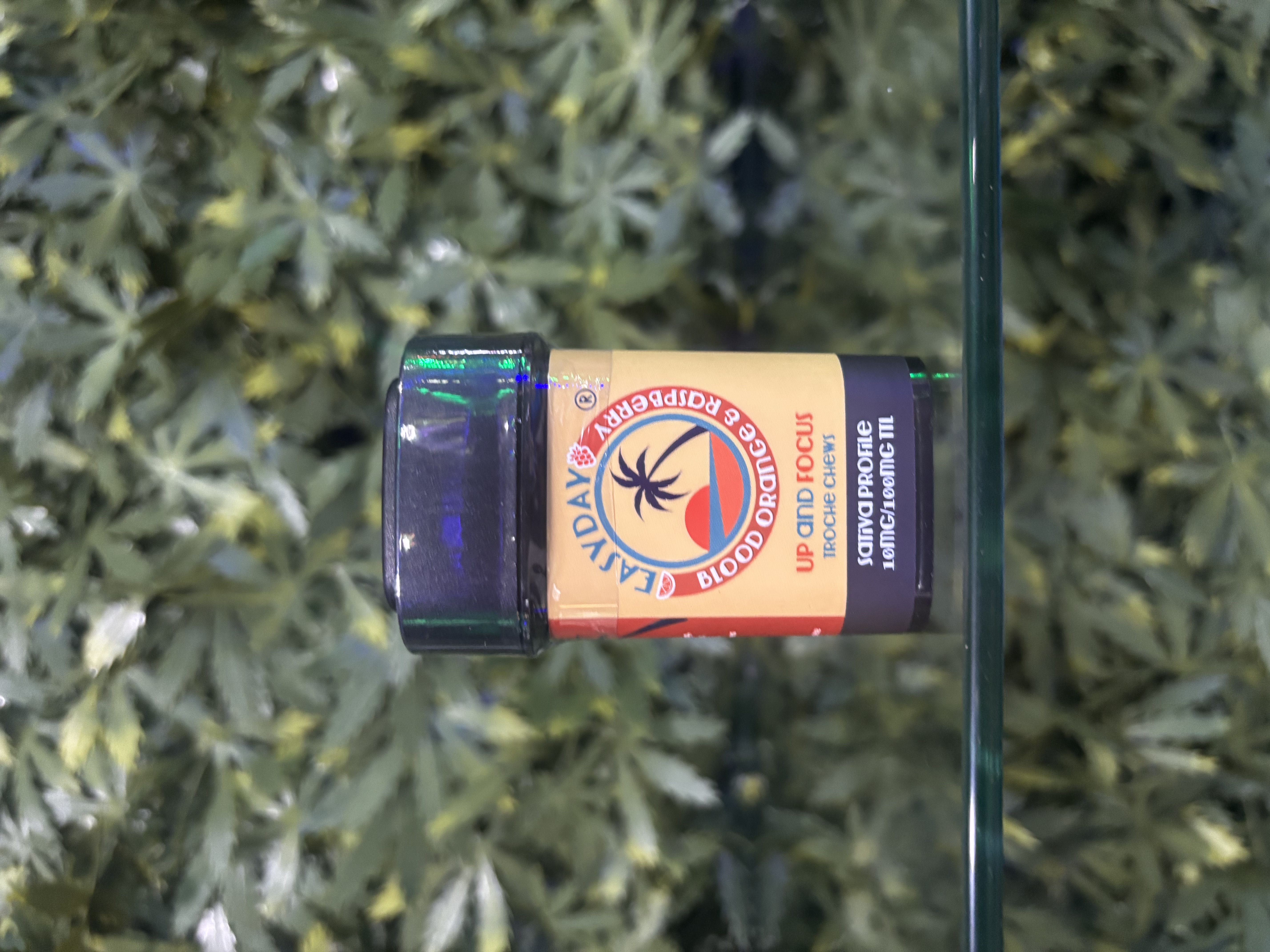 Photograph of product: Blood Orange Raspberry - Up & Focus Container 10 mg - 10 Pack