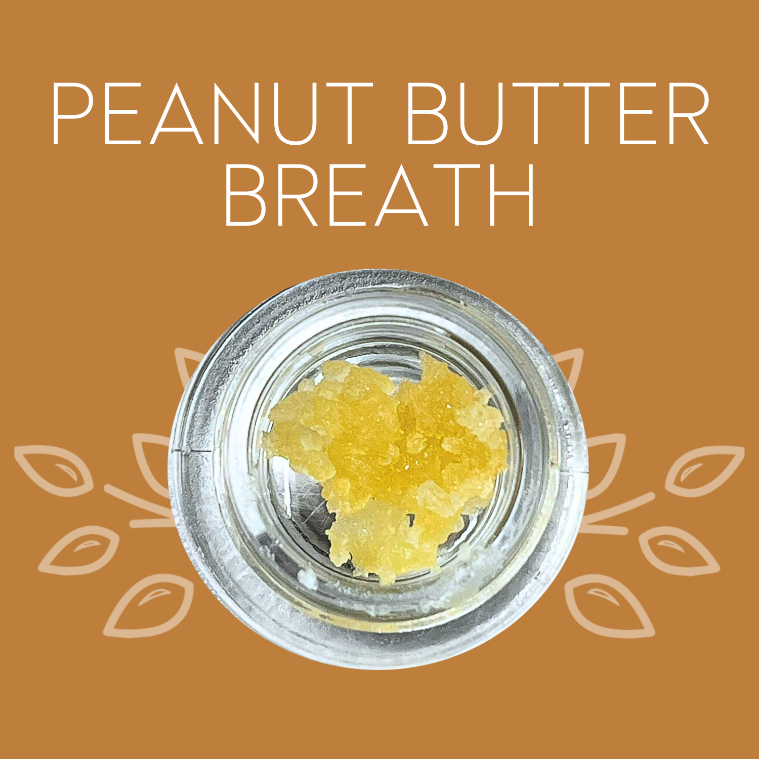 Photograph of product: Vana | PBB | Sugar | Oui'd-Hybrid