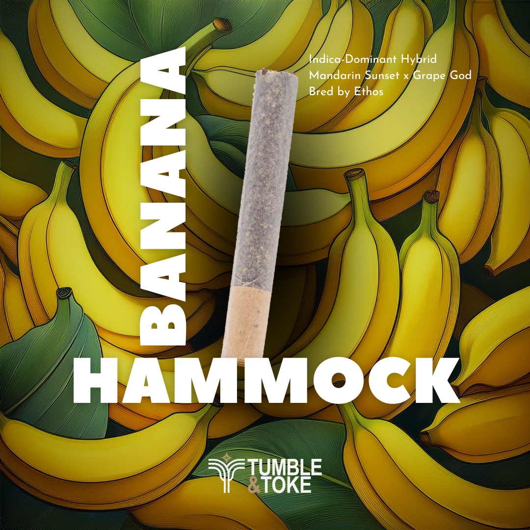 Photograph of product: Banana Hammock RBx1  | Straight Rolled Cannon |  1g | by Claravita